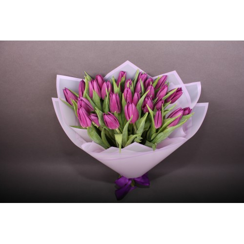 25 фіолетових тюльпанів