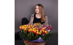 301 тюльпан в корзині