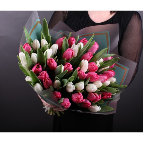 51 рожевий і білий тюльпан