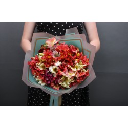 Букет 25 альстромерій Букет 25 альстромерій