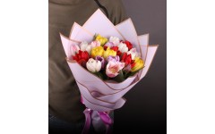 31 різнокольоровий тюльпан 31 різнокольоровий тюльпан